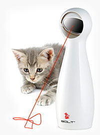Bolt Interactive Cat Toy