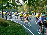 MS 150 Bike