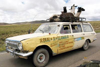 Dial A Llama