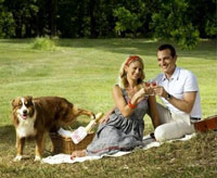 Picnic