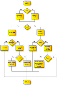 Horse Flow Chart