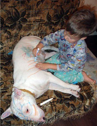 Coloring Dog