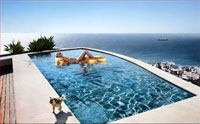 Dog Pool