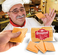 Spongioli