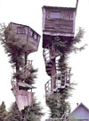 Awesome Treehouses