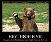 Bear High Five