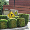 Safe Place Danger of Death